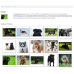 Advanced Photo Gallery